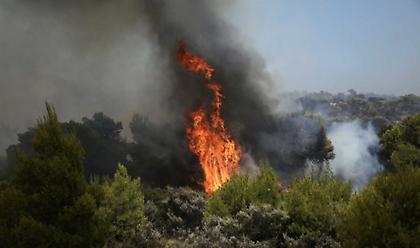 Φωτιά στο Οίτυλο Λακωνίας