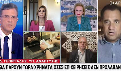 Γεωργιάδης στον ΣΚΑΪ: Το νέο μας πρόγραμμα στοχεύει σε μικρομεσαίες επιχειρήσεις