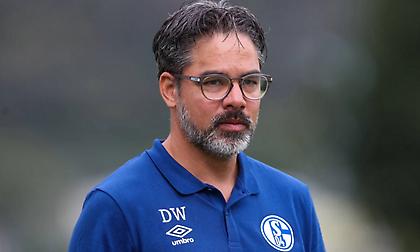 Τέλος ο Βάγκνερ από τον πάγκο της Σάλκε