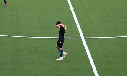 «Εισβολή» παπαγάλου σε αγώνα ποδοσφαίρου (video)