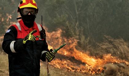 Πύργος: Φωτιά στην περιοχή της Βουπρασίας