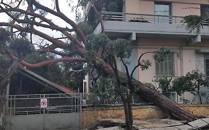 Καιρός: Υποχωρεί η κακοκαιρία – Σε ποιες περιοχές θα βρέξει