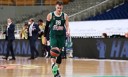 Προφυλάσσει Νέντοβιτς ο Βόβορας