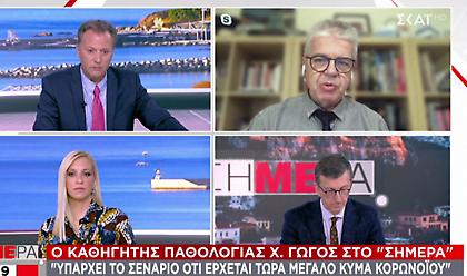 Γώγος σε ΣΚΑΪ: Τέλη Δεκεμβρίου περιμένουμε εγκρίσεις για τα εμβόλια - Μέτρα και το 2021