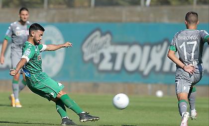 Φάκελος Βιγιαφάνιες: Τα γεγονότα και η πραγματικότητα