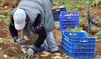 ΥπΑΑΤ: Πληρωμές 800 εκατ. ευρώ στους αγρότες έως τέλος του έτους