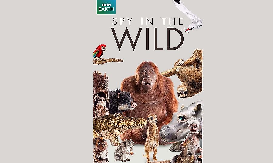 SPY IN THE WILD: Ντοκιμαντέρ σε Α’ Τηλεοπτική Μετάδοση στον ΣΚΑΪ