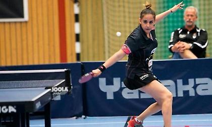 Άναψε το «πράσινο φως» για το πινγκ πονγκ στην Ιταλία για Ρηνιώτη, Τόλιου