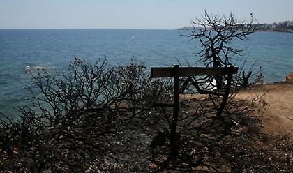 Μάτι: Κατέθεσε η γυναίκα που έχασε τον άντρα και τα 2 παιδιά της