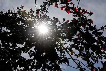 Καιρός: Έρχεται κύμα ζέστης – Στους 21 βαθμούς η θερμοκρασία
