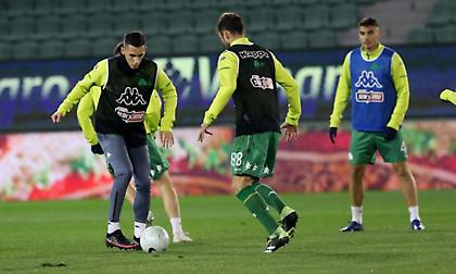 Παναθηναϊκός: Ξανά ατομικό ο Σένκεφελντ