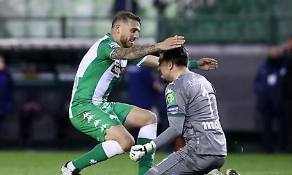 Πράσινοι μαχητές στη Λεωφόρο!