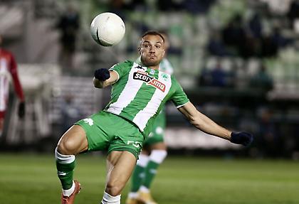 Μολό: Ένα λιοντάρι που «βρυχάται»!