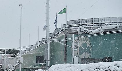 Στα «άσπρα» και η Λεωφόρος