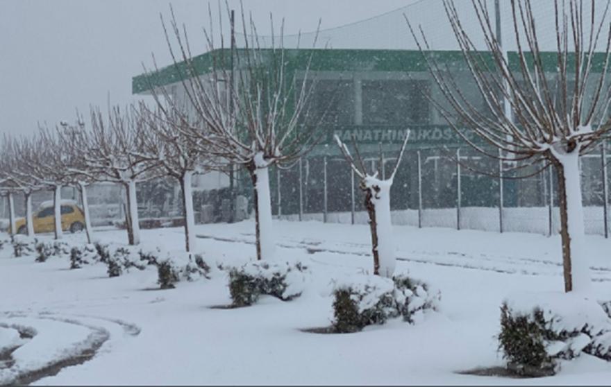 Ματαιώθηκε η προπόνηση του Παναθηναϊκού στο Κορωπί