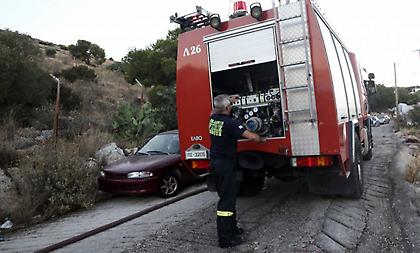 Εύβοια: Άνδρας καταπλακώθηκε από δέντρο -Ανασύρθηκε νεκρός