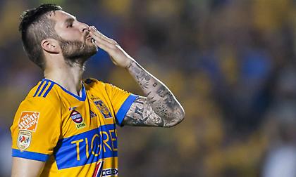 Ανανέωσε με Τίγκρες ο Ζινιάκ