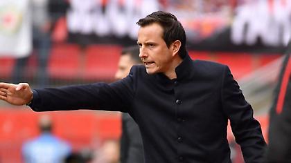 Τέλος ο Στεφάν από τον πάγκο της Ρεν