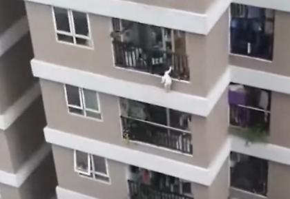 Μωρό έπεσε από τον 12ο όροφο και σώθηκε με τη βοήθεια ενός ήρωα (video)