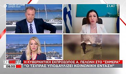 Πελώνη σε ΣΚΑΪ για lockdown: Δεν είναι της παρούσης η συζήτηση για άνοιγμα