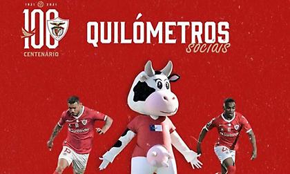 Ωραία κίνηση της Σάντα Κλάρα: Δωρίζει τροφές σε φιλοζωική!