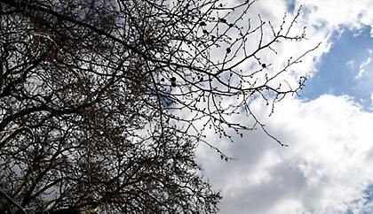 Καιρός: Άστατος με βροχές και ανέμους - Θερμοκρασία σε κανονικά επίπεδα