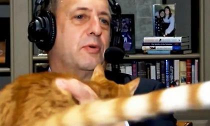 Η… γάτα του Βαν Γκάντι ήθελε να μεταδώσει Μάβερικς-Κλίπερς