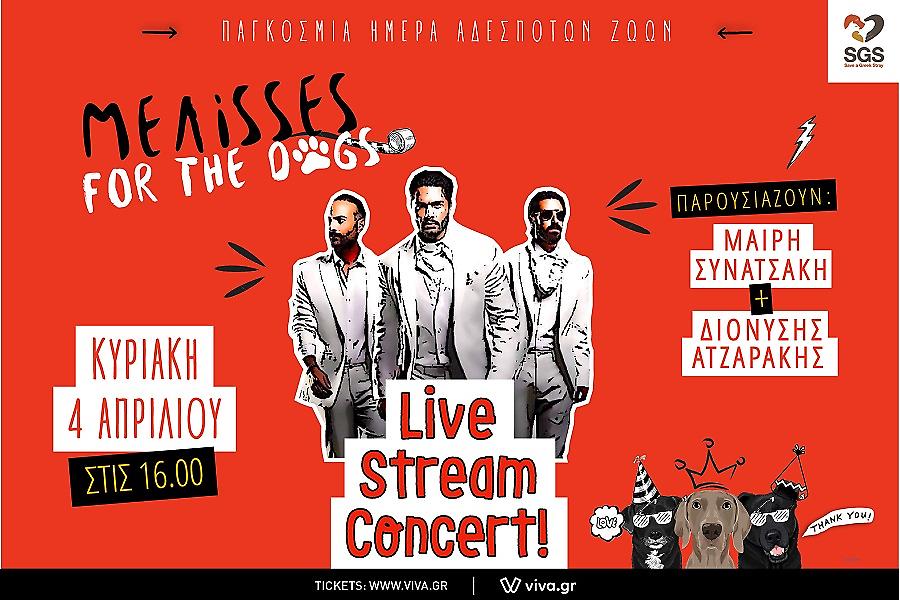 ΜΕΛΙSSES for the dogs: live stream συναυλία αφιερωμένη σε κάθε αδέσποτο!