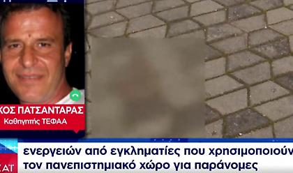 Συγκλονίζει μαρτυρία του καθηγητή ΤΕΦΑΑ: Καταγγέλλει δολοφονική επίθεση εναντίον του