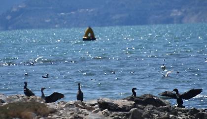 Καιρός: Σχεδόν αίθριος καιρός και κανονικές θερμοκρασίες