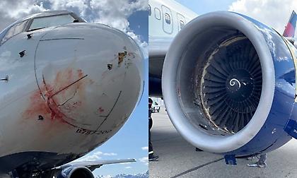 Τρόμος στον αέρα για τους Γιούτα Τζαζ: Συγκρούστηκε το αεροπλάνο τους με σμήνος πουλιών! (pics)