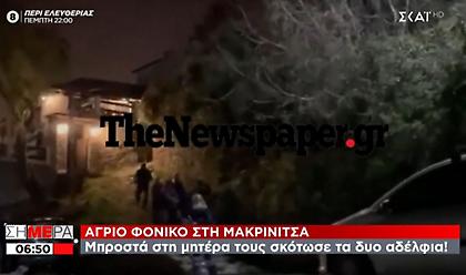 Διπλό φονικό στη Μακρινίτσα: Πώς συνελήφθη ο «πρώην» που δολοφόνησε άγρια τα δύο αδέλφια