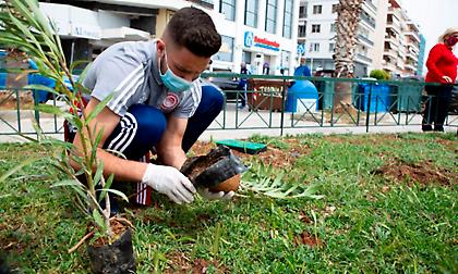Δενδροφύτευση των ακαδημιών του Ολυμπιακού (video)