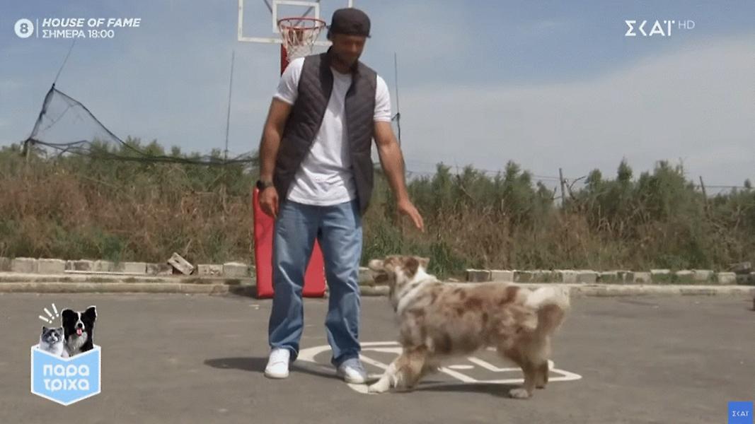 Παρά Τρίχα: Η εκπαίδευση ενός σκύλου είναι κομμάτι της ανατροφής του