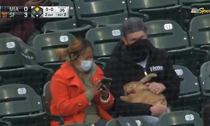 Έπος: Πήγαν σε αγώνα μπέιζμπολ με το... κουνέλι τους (video)