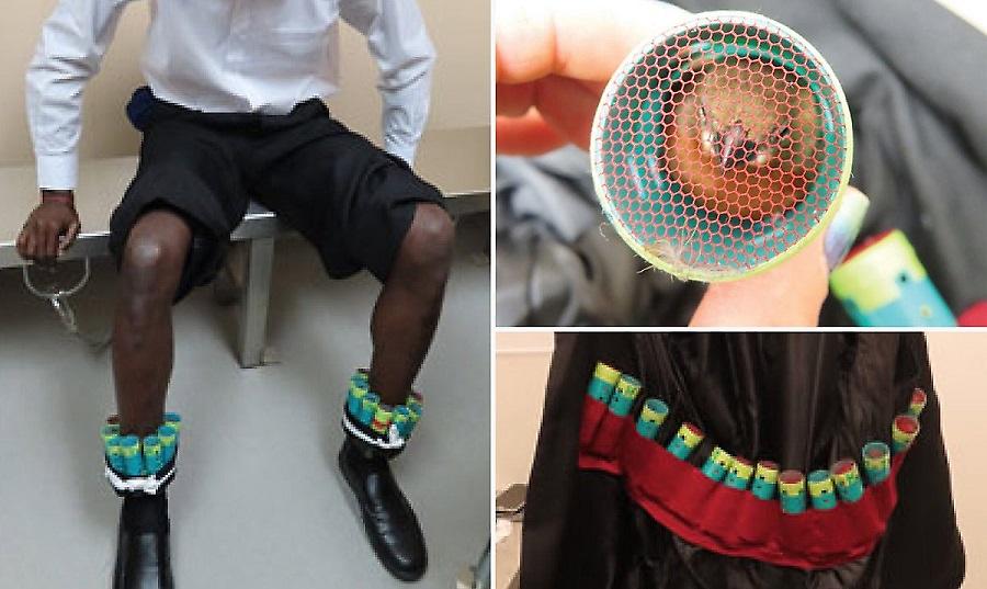 Τύπος επιχείρησε να διακινήσει αεροπορικώς 35 πουλιά μέσα σε ρόλεϊ μαλλιών