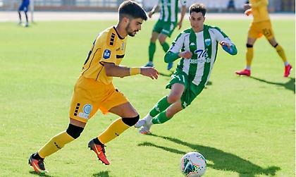 Λεβαδειακός-Εργοτέλης