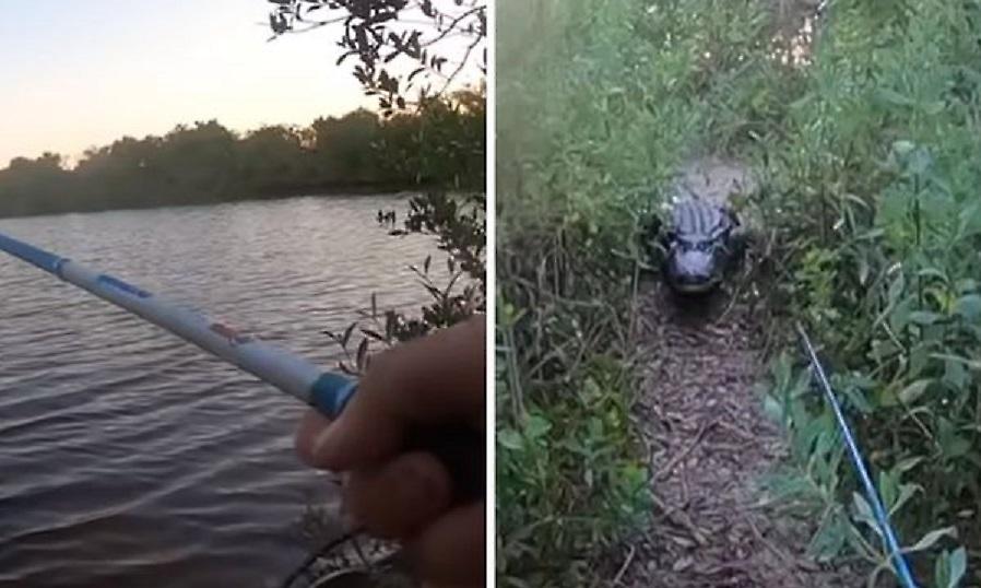 Αλιγάτορας την «έπεσε» σε ψαρά στη Φλόριντα
