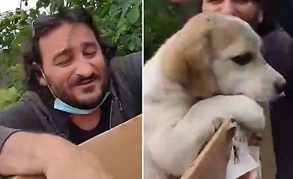Ο Χαραλαμπόπουλος μπήκε σε κάδο για να σώσει πεταμένο κουτάβι (video)