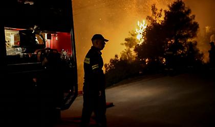 Κατασβέστηκε φωτιά στο Διόνυσο Αττικής