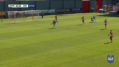 Το πέναλτι που δεν δόθηκε στον Λεβαδειακό στην ανατροπή του Μπιανκόνι!