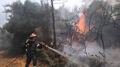 Πυρκαγιά-Σχίνος: Εκκενώνονται και άλλοι οικισμοί - Νέο μήνυμα από το 112