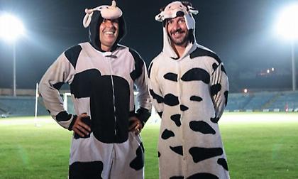 Έπος: Ο πρόεδρος και ο προπονητής της Σάντα Κλάρα ντύθηκαν... αγελάδες!