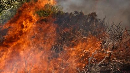 Ζημιές σε τρεις κατοικίες προκάλεσε η φωτιά στο Σχίνο Λουτρακίου