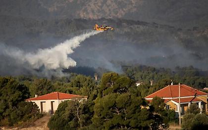 Χαρδαλιάς για φωτιά στην Κορινθία: Στάχτη πάνω από 40.000 στρέμματα