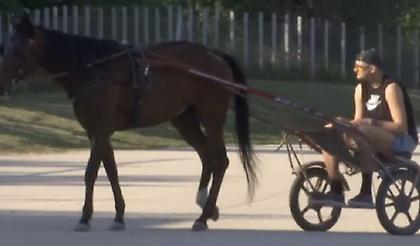 Ο Γιόκιτς σε… κάρο στην πατρίδα του