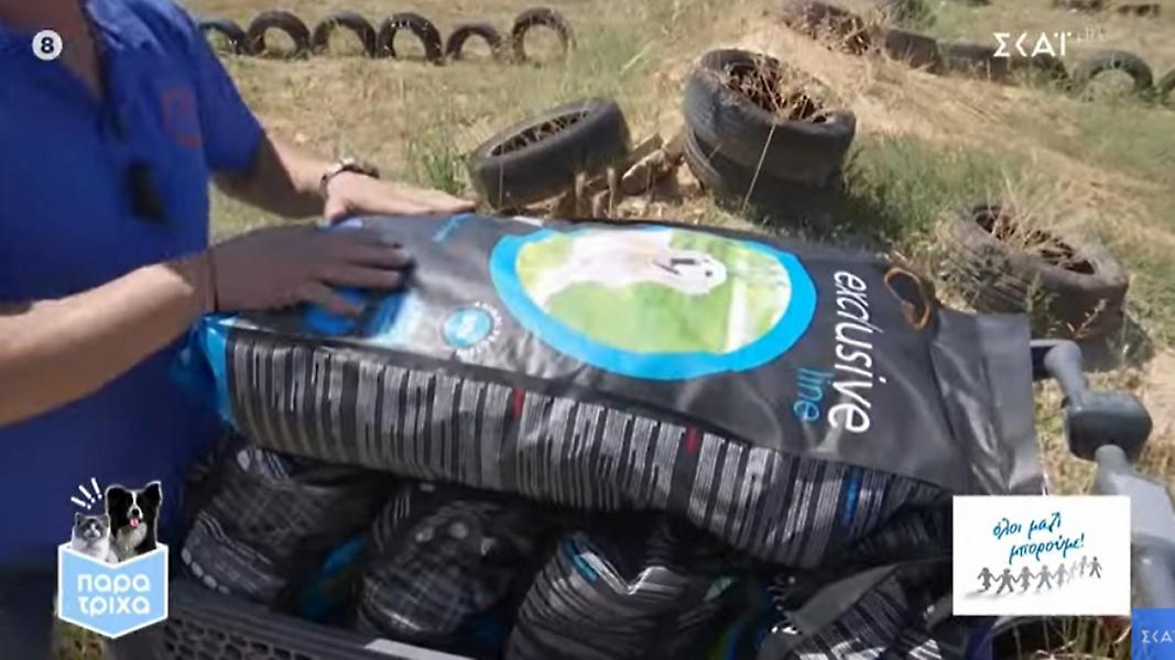 Tο Όλοι Μαζί Μπορούμε, ενώνει δυνάμεις με Παρατρίχα, και δωρίζει τροφές για σκύλους