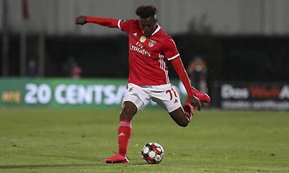 Συμφώνησε με Μπενφίκα για Ταβάρες η Άρσεναλ