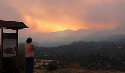 Κύπρος: Yπό πλήρη έλεγχο η μεγάλη πυρκαγιά-Τραγωδία με 4 εργάτες που βρέθηκαν απανθρακωμένοι