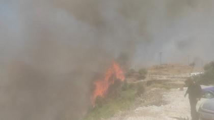 Κεφαλονιά: Πάνω από 10.000 στρέμματα έγιναν στάχτη-Υπό πλήρη έλεγχο η πυρκαγιά